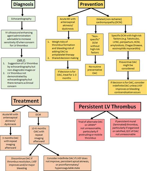 lv thrombus risk management